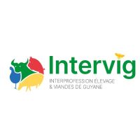 INTERVIG