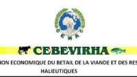 CEBEVIRHA